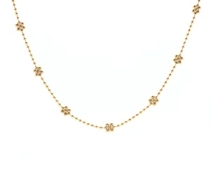 Golden Daisy